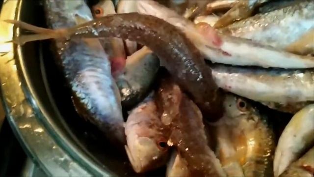 Жареная Крымская Барабуля /Очень Вкусно /