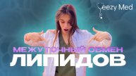 МЕЖУТОЧНЫЙ ОБМЕН ЛИПИДОВ