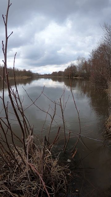 Полые воды