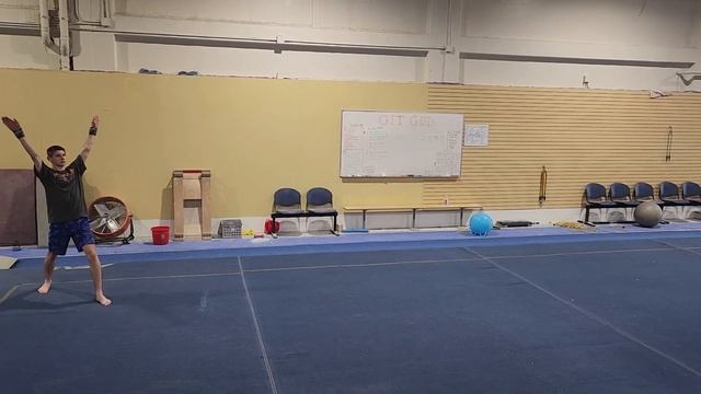 Floor Level 3 USAG MAG 2021-2024 Compulsory routines