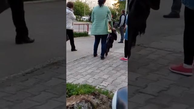 Обычный день в Белорецке
