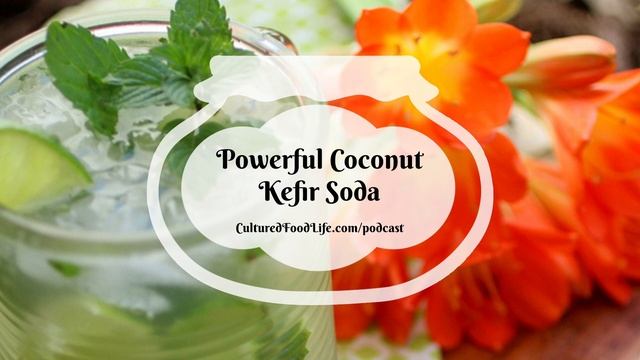 Podcast Episode 259: Powerful Coconut Kefir Soda