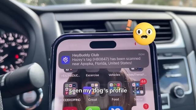 HeyBuddy - Advanced Pet Technology
