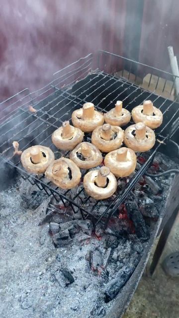 НАШИ ВЫХОДНЫЕ! ПИКНИК