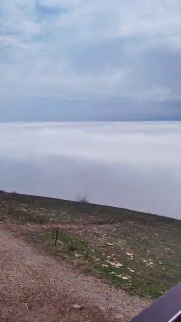 запрещённые напитки