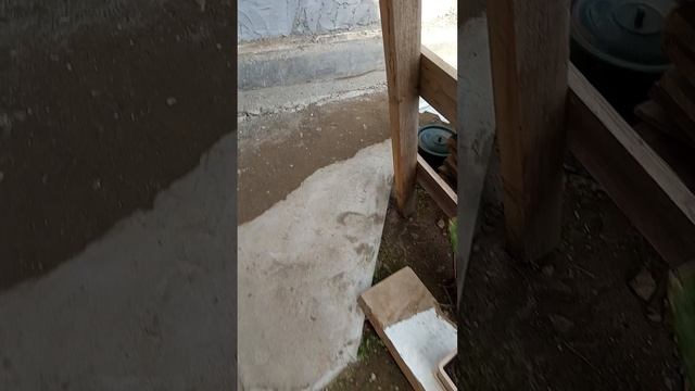 первые две пары в работе