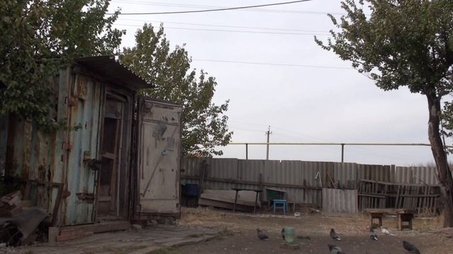 СРОЧНО  ЗАКЛЮЧИТЕЛЬНЫЙ..РЕПОРТАЖ..ГОЛУБ......НИКОЛАШЕК..10 .10 .20 .г.