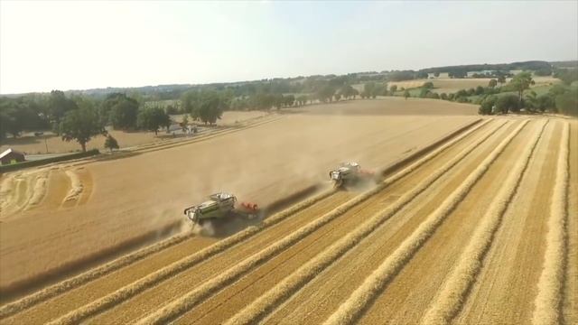 Женщины и дети на технике CLAAS.