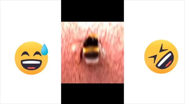 СМЕШНЫЕ/ВИДЕО/ЧЕК/ОЧЕНЬ/СМЕШНО/ИНТЕРЕСНО/💞💞
#ВРЕК #вреки #актив #реки #вау #смешно #hahahaha )