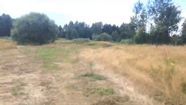 Приплыли на обед.