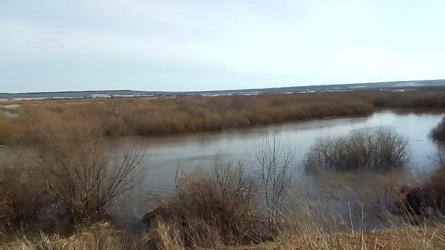 Это я в селе "Мехонское"