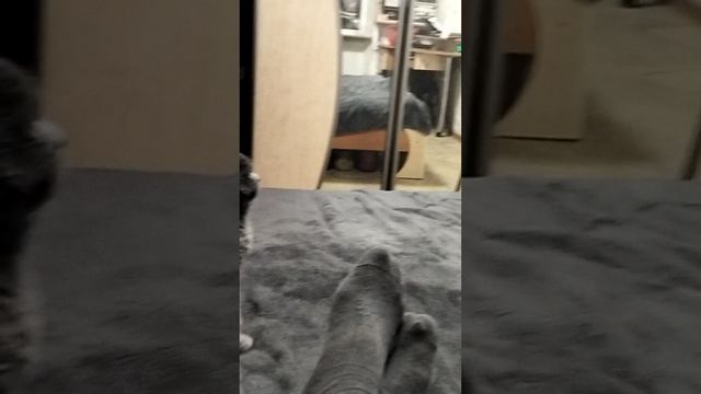 1000019796.mp4