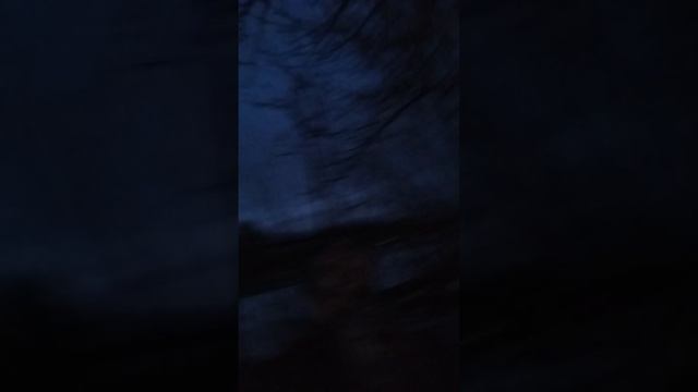 Сиреноголовый:первое проявление (-_-) THE AMIRCHAN