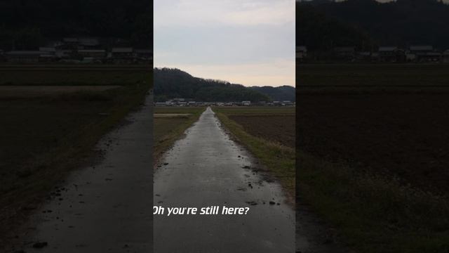 Вечерняя прогулка по сельской деревне, болотам и полям | Омихадзиман, Япония в 4К