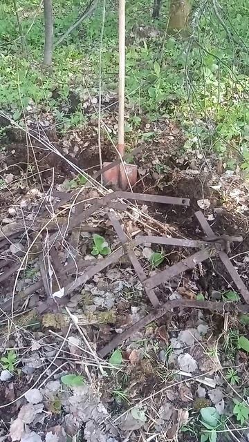 Заросла борона. Коп железа.