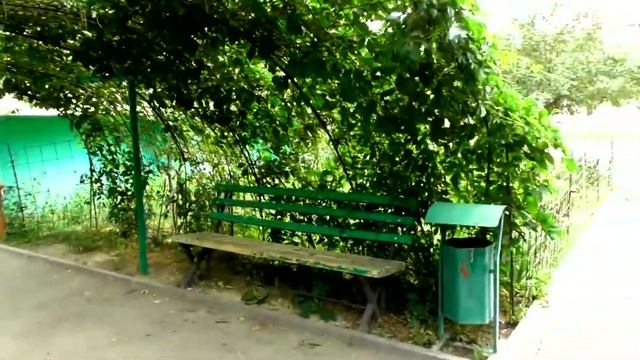 A real life artist.  Настоящий художник по жизни.