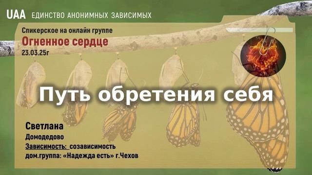 Светлана Домодедово  Путь обретения себя
