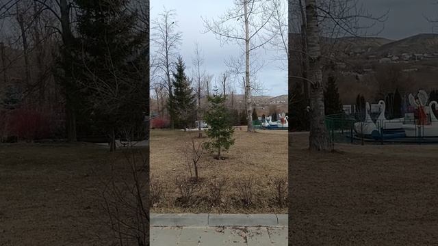 Весенний парк