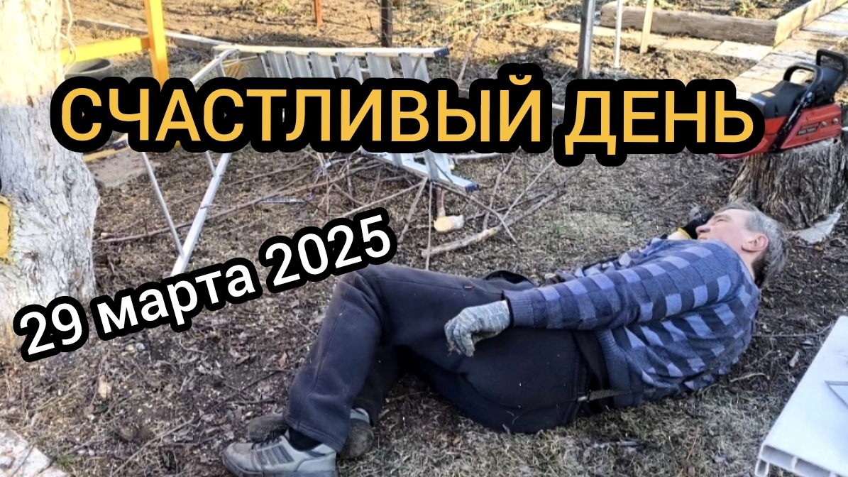 Убрали из теплицы дрова,  пилили больные деревья. Обрезка сада. Падение со стремянки. 29.03.2025