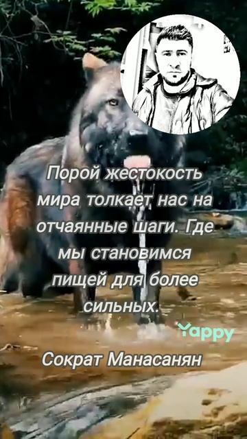 цитаты, афоризмы, стихи ....