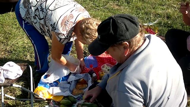 грибы Дорогобуж 25.09.2017 год