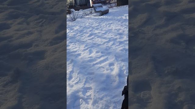 прогулка по зимнему двору