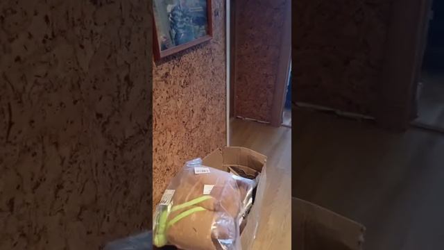 Гумонитарка на Донбасс ( Апрель )
