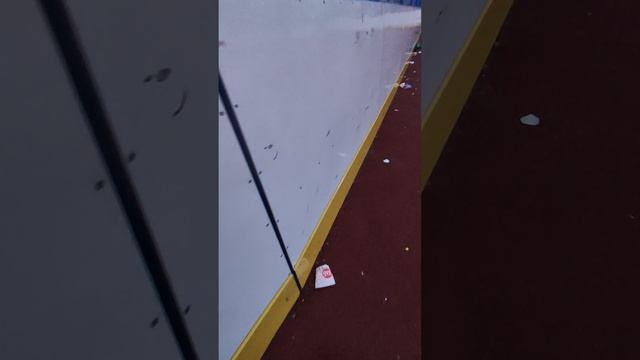 А Вы правильно воспитываете детей?