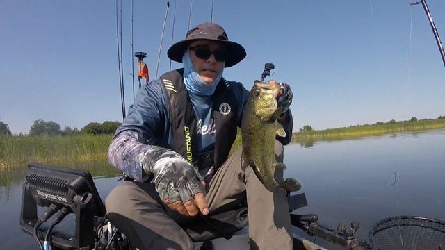 2022 Ontario Kayak Bass Trail Event #3 - Bay of Quinte