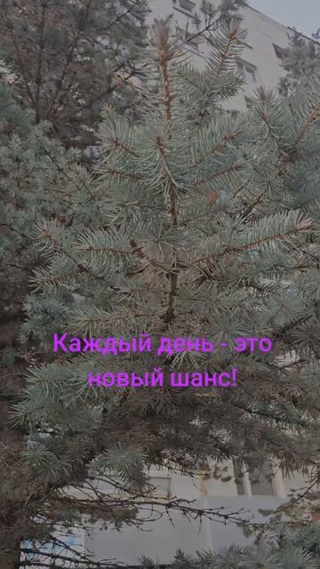 Каждый день - это новый шанс!