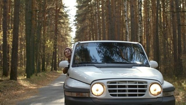 3111479-uhd_3840_2160_25fps
