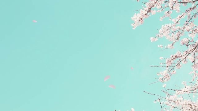 Всё в таких попыхах