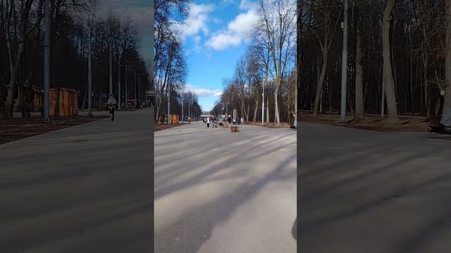 Мы поехали в лесопарк!