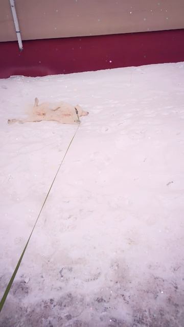 30.03.2025г Утро