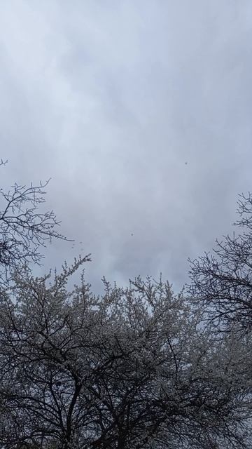 30.03.2025 #сегоднятак #сегодня #природа #nature #oggicosì #бүгін #oggi #hoy #今日 #today #오늘 #자연 #自然