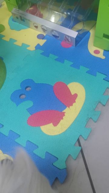 Игровая для собак