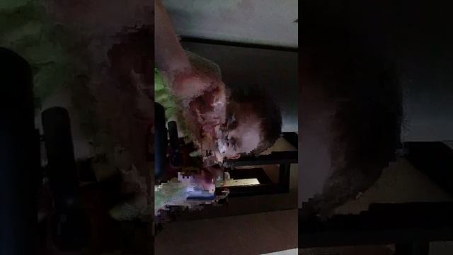 асмр стрим