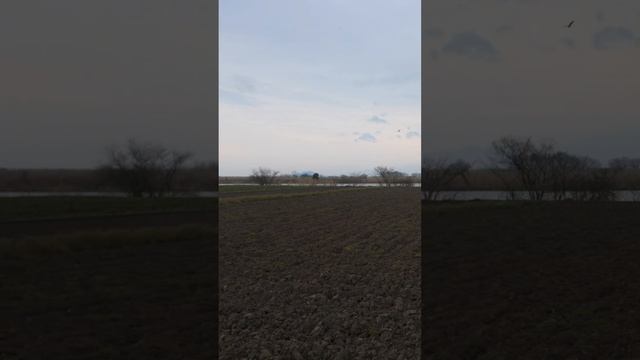 Вечерняя прогулка по сельской деревне, болотам и полям | Омихадзиман, Япония в 4К