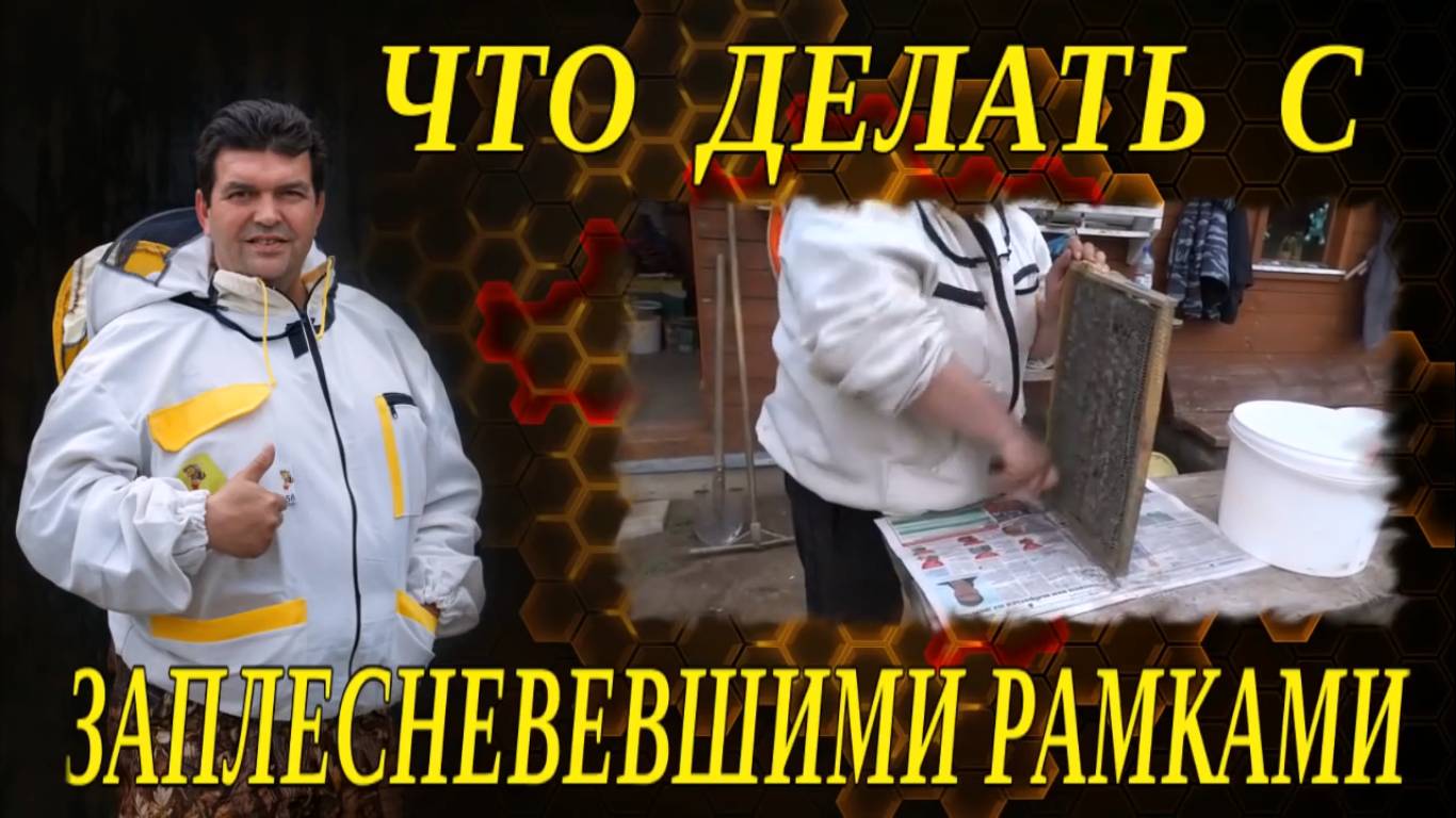 ЧТО ДЕЛАТЬ С ЗАПЛЕСНЕВЕВШИМИ И ОПОНОШЕННЫМИ РАМКАМИ НА ПАСЕКЕ