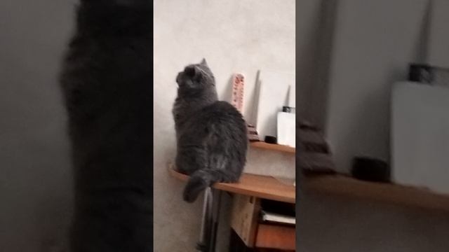 1000017882.mp4