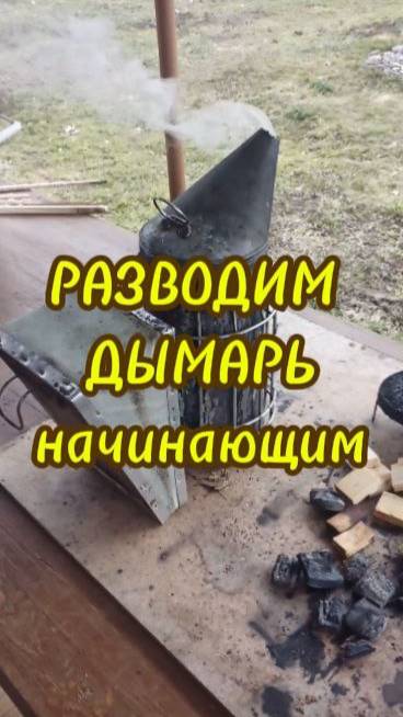 РАЗВОДИМ ДЫМАРЬ. Начинающим пчеловодам в помощь!