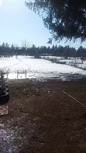 открытие дачного сезона 29.03.25