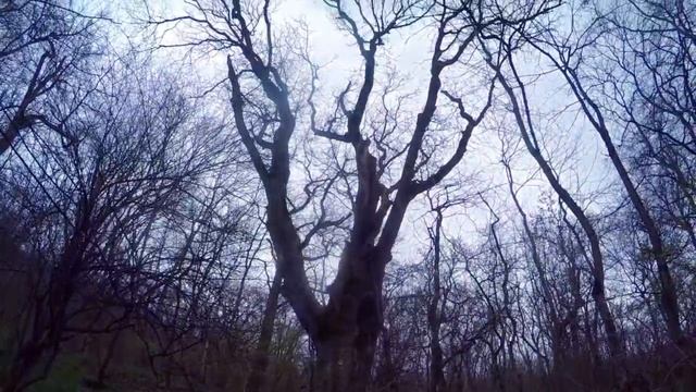 Прогулка к горе "Медовая". Северный Кавказ.