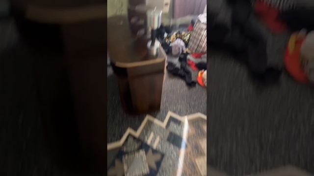 натурал Альбертович сборник видео. видеоблог. (2024 год)