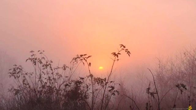 Превыше солнца