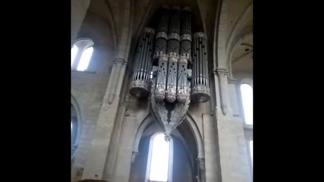 Catedral DOM Trier
