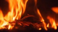 campfire sound 1h asmr || звук костра 1ч асмр.
