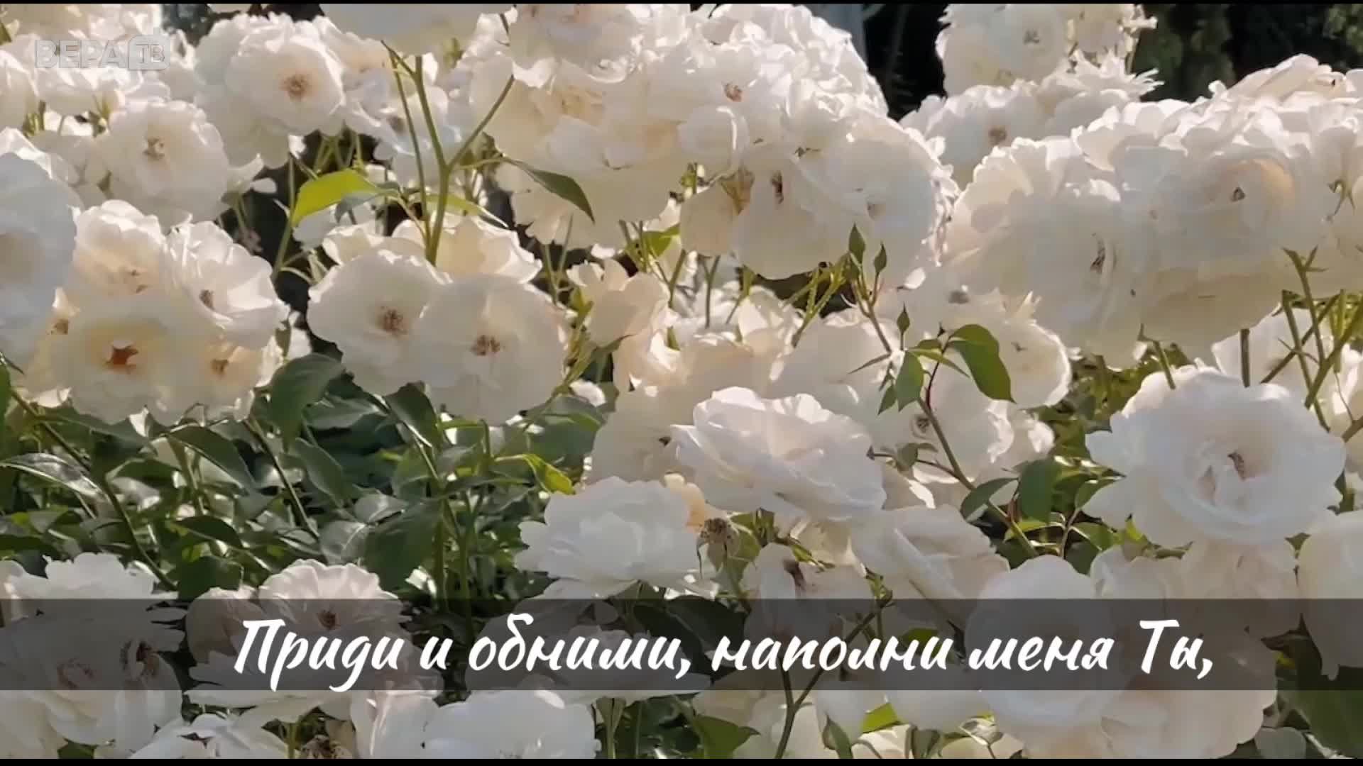 ВераТВ - Онлайн 24 часа