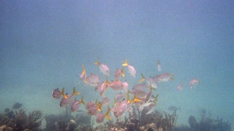 Bvdub - It Mattered Once