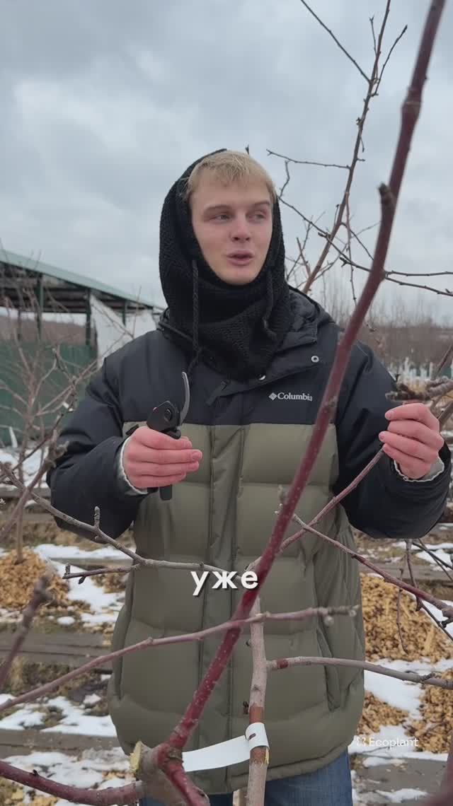 Просто Обрежьте Так!